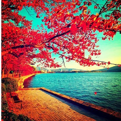 isaaccocoO's profile picture. 