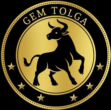 GemTolgaX's profile picture. 2017 Den Bu Zamana Crypto Sektörü Içerisindeyim 

  #Bitcoin  #ETH