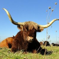 North Woods Ranch (@northwoodsranch) 's Twitter Profile