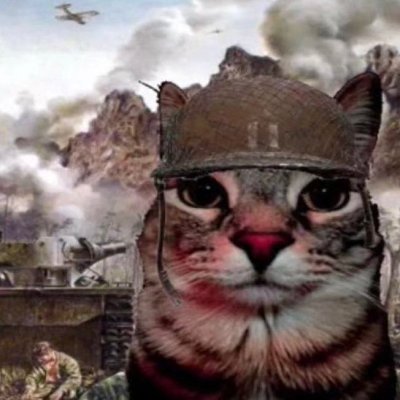 $WARCAT

WarCat is here for war

CA: E9Y5DNYJMrGiPTUP3iPXmKgoTQ76EqiANBPpNfgfSb8m

Community: https://t.co/RW1rw1ymQJ