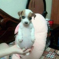 yams (@yamss73_) Twitter profile photo