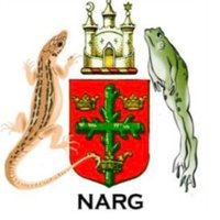 Notts ARG (@nottsarg11) Twitter profile photo