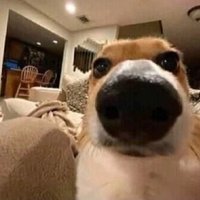 FIREEX (@fiiiiireex) 's Twitter Profile