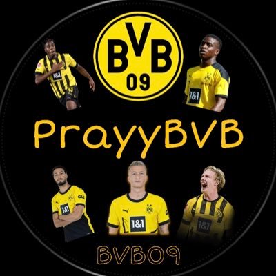 BVB09