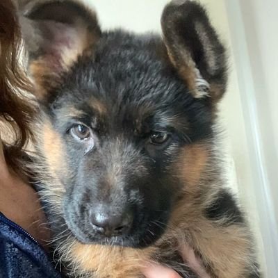 Jon_F_Kearney's profile picture. Free Palestine. Slava Ukraini. Don't be on the wrong side of history.