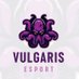 Vulgaris esport (@vulgaris_esport) Twitter profile photo Vulgaris esport (@vulgaris_esport) Twitter profile photo