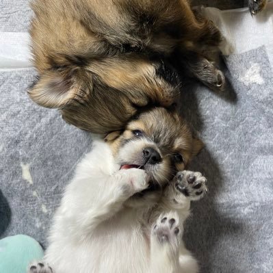 jhanpaulineeeee's profile picture. 🥀