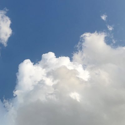 reham12rj's profile picture. روحٌ نقيّة، مضيئة، مُتفائلة🌸، @iau_ccsit