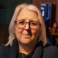 Debbi Voisey(@DublinWriter) 's Twitter Profile Photo