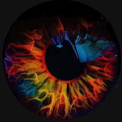 netronizer's profile picture. 