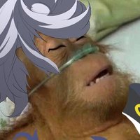 Sarravio (@sarravio_unib) 's Twitter Profile