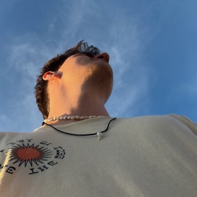 nosoyverstappen Profile Picture