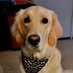 Bentley Boy (@my3jed5) Twitter profile photo Bentley Boy (@my3jed5) Twitter profile photo