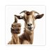 Sam (@samadhuss) Twitter profile photo Sam (@samadhuss) Twitter profile photo
