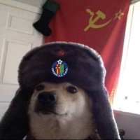 ☭🇵🇸 Perrito Soviet 💙😼(@freezerael7u7) 's Twitter Profile Photo