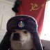 ☭🇵🇸 Perrito Soviet 💙😼 (@freezerael7u7) Twitter profile photo