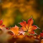 zolotoy8888's profile picture. Nobody died taking profit.