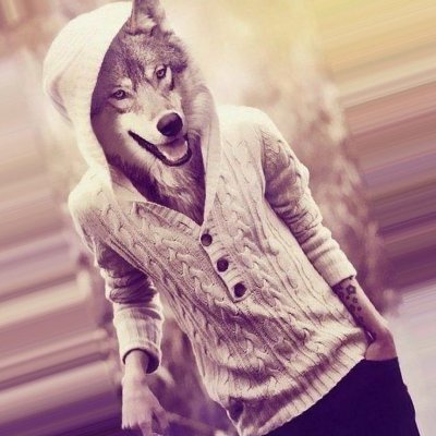 mothimnalo87235's profile picture. #TeamFollowback #Followback