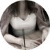 ぴこ。《単女目線のハプバーマニュアル\販売累計850部突破/》 (@pikosake_2021) Twitter profile photo ぴこ。《単女目線のハプバーマニュアル\販売累計850部突破/》 (@pikosake_2021) Twitter profile photo