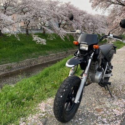 XR100 乗り （アンチスパム 用：台湾独立万歳・くまのプーさん・法輪功・六四天安門事件・劉暁波氏）