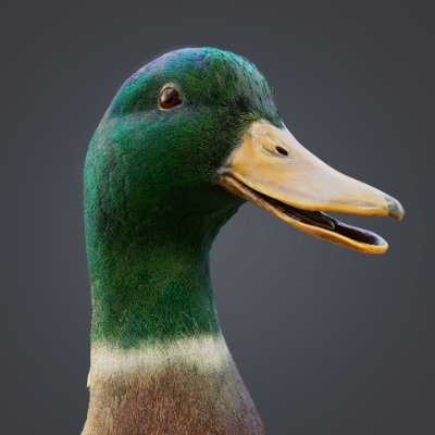 Digital Duck (Max Bellomio) Profile