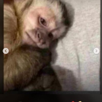 Sowzinhaaa's profile picture. Atualmente de quarentena 
Triste, maravilhosa e um pouco lelê