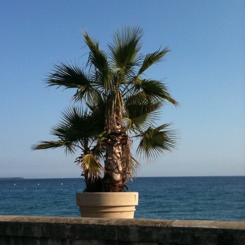 LESMESMarie's profile picture. 