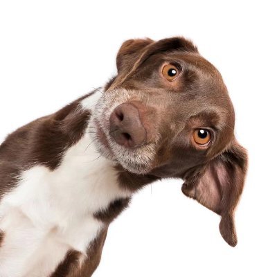 QieYi27800's profile picture. 