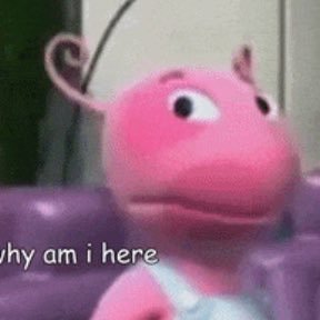 slayyyyypilled's profile picture. cement! das conk kreet baybee!!