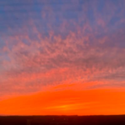 Behiredin_Seyd's profile picture. 