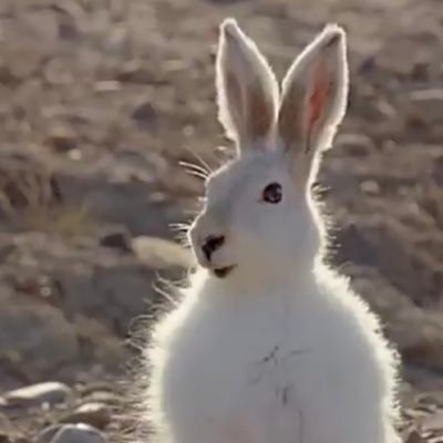 onamisanyo's profile picture. webデザイナーしています。法学部卒