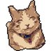 Woody (@woodycryptow) Twitter profile photo Woody (@woodycryptow) Twitter profile photo