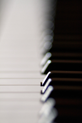 DsignPhoto's profile picture. Photographer , Musician , Gamer