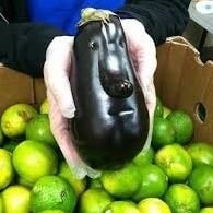 vek_el's profile picture. 