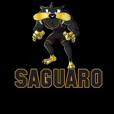 Saguaro High School Wrestling Profile