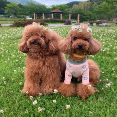 マチルダ🌿 (@matilda_bmbm) / Posts / X