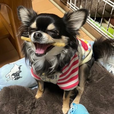 メッシさん アディダスF50 MESSI ELITE FG LEO X BBメッシ 28 - メルカリ