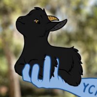 Jax Goat (@jaxgoat) 's Twitter Profile