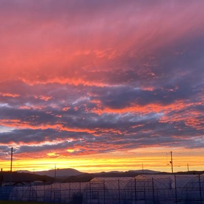 図書局 クイズプレイヤー 北海道 高2 今年は学校にクイ研をつくりたい…！！無言フォロー失礼します！サブアカ→@sub_callma