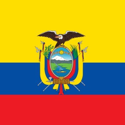 Ecuatoriano. Liguista. Derecho y Relaciones Internacionales -IE University.