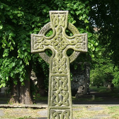 PodaderaMoya's profile picture. 