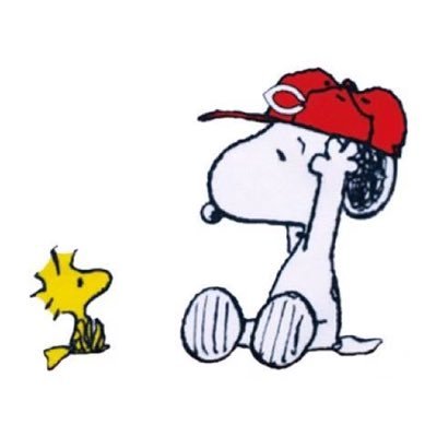 yuming_miyoshi's profile picture. 産まれた時からカープファン⚾️😍  野球とバレーボール大好き🏐ごぜん様さまにドハマリしてます😊X(ツイッター)初心者で、失礼があったらすみません💦🙇‍♀️