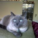 Kendra Vickers - @kkentSC - Twitter