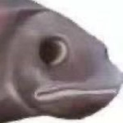 huakaifugui3862's profile picture. #疯子#自闭儿童#抽象b#老鼠人#三次元梦女#坦克#野人#猎奇#小丑#小众#流浪汉#纯爱#单机小游戏忠实爱好者#˗ˋˏ꒰ঌ ✝︎穿刺重度依赖໒꒱ྀིˎˊ˗#已婚 有老公了 我爱我老公😍#老公宝女