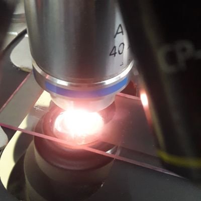 ⚕Medicine:🔬Diagnostic Pathology:👨🏫 Faculty @sdmuniversity 🏛