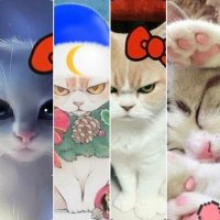 고양이 나만 없어 (@catcat2021) 's Twitter Profile Photo 고양이 나만 없어 (@catcat2021) 's Twitter Profile Photo