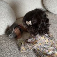 Just Mathayel (@_0xl7) 's Twitter Profile Photo