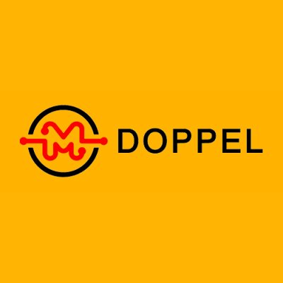 DoppelFlowmeter's profile picture. Intelligent instruments and solutions focused on industrial ﬂuid measurement