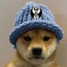 Alpha_Bhav's profile picture. l  Analyst  I  Mechanical Engineer  l  ICT Degenerate  l