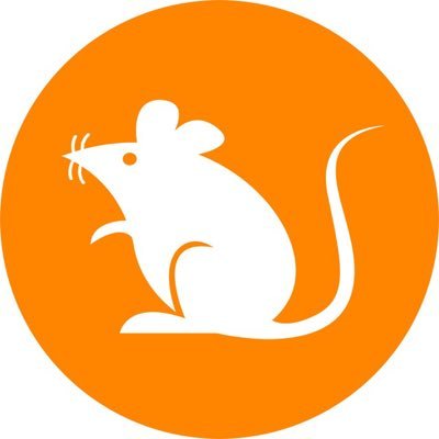 Rats' Home. $Rats is a meme token on the Bitcoin chain. Promotion Community TG: https://t.co/TcMsZ5wzyw